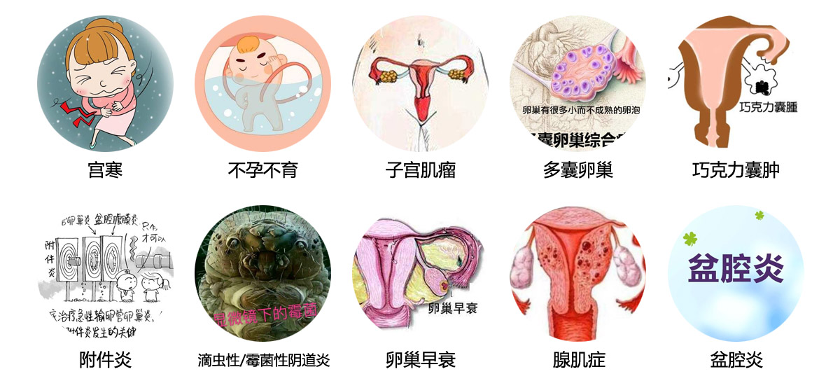 仙虞梅妇康抑菌圆片